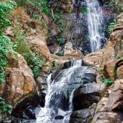 pexels-leslie-del-moral-12271848